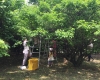 シェアスペース_果樹園